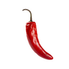 Chilli Birds Eye