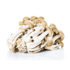 Mushroom Shemiji - Punnet DeliverFresh