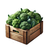 Broccoli box (8kg)