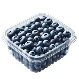 Blueberry 125g - Punnet