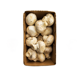 Mushroom Sliced / Cut 3Kg - Box
