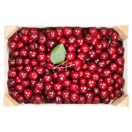 Cherries (Seasonal) - Box