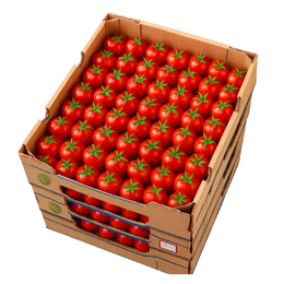 Tomato Cherry - Tray