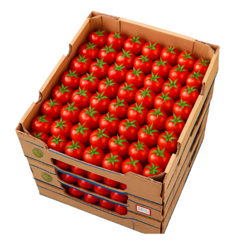Tomato Cherry - Punnet (250g)