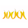 Chilli Sweet Yellow