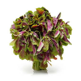 Fresh Amaranthus (Amaranth Leaves)