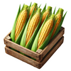 Sweet Corn - Box (10Kg) DeliverFresh