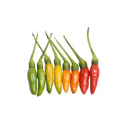 Chilli Thai - Kg