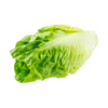 Cos Lettuce Single