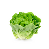 Lettuce Butter - Pieces DeliverFresh