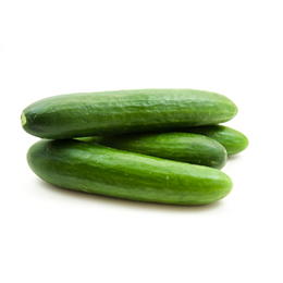 Cucumber Continental 15Pcs - Bag