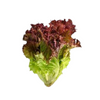 Lollo Rosso - Box (6 pieces) DeliverFresh