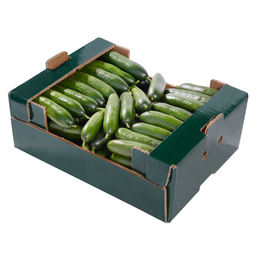 Cucumber Continental 15Pcs - Bag