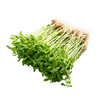 Pea Shoots - 1 Kg DeliverFresh