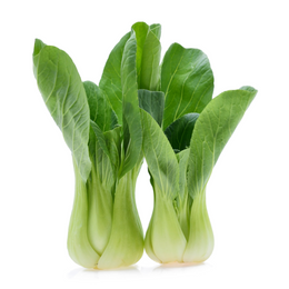 Bok Choy Chinese - Bunch