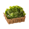 Lettuce Butter - Pieces DeliverFresh