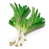 Premium leek vegetables in a 
30-piece box 