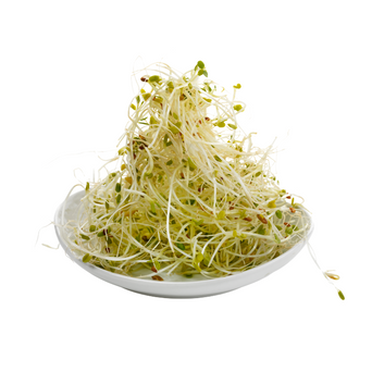 Fresh Alfalfa (Sprouts)
