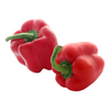 Capsicum Red