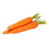 Fresh carrots