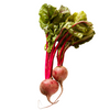 Beetroot Red