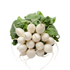 Bunch of white radishes with green leaves 