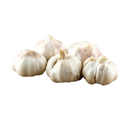 Garlic Australian 10Kg - Box