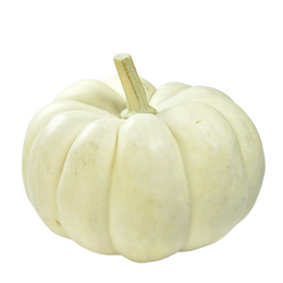 white pumpkin - Each