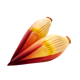 banana flower 10kgs-Box