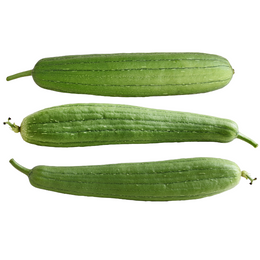 Lufa - kg