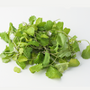 Kale Baby - Pcs DeliverFresh