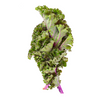 Kale Red - Bunch DeliverFresh