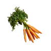 Carrot Dutch