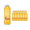 Wild One Organic Apple Juice 12 x 360ml DeliverFresh