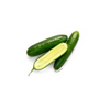 Cucumber Lebanese