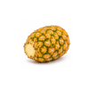 Pineapple Topless (Sweet Gold) XL - (Each)