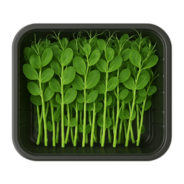 Snow Pea Tendril - Tray