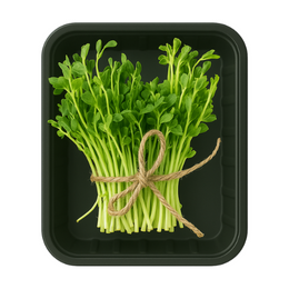 Snow Pea Tendril -Box