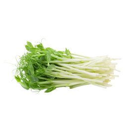 Snow Pea Tendril - Tray