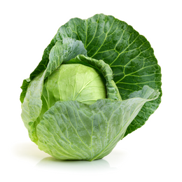 Cabbage Green - Pcs