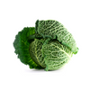 Cabbage Savoy