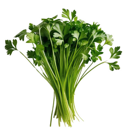 Chervil cress - punnet