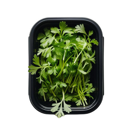 Chervil cress - punnet