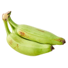 A bunch of three green raw bananas with stems attached, isolated on a white background.