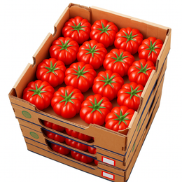 Tomato Heirloom - Tray