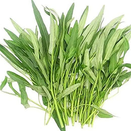 Water Spinach