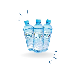 12 x Wild Spring Water 600ml - PET