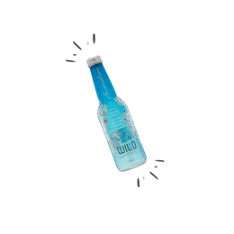 Natural Sparkling Mineral Water 330ml - Piece