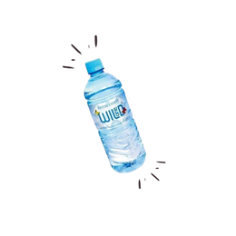 Wild Spring Water 600ml Piece- PET