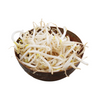 Bean Shoots Sprouts